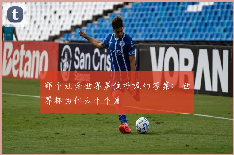 那个让全世界屏住呼吸的答案：世界杯为什么个个看