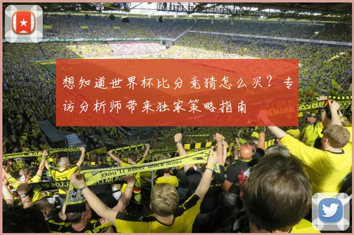 想知道世界杯比分竞猜怎么买?专访分析师带来独家策略指南