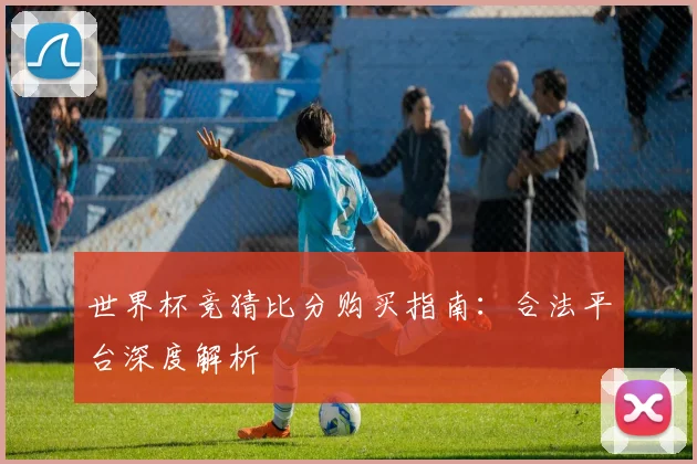 世界杯竞猜比分购买指南：合法平台深度解析
