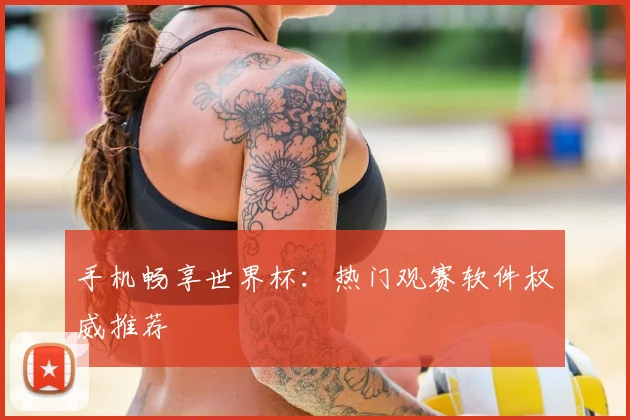 手机畅享世界杯：热门观赛软件权威推荐
