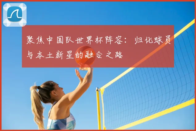 聚焦中国队世界杯阵容:归化球员与本土新星的融合之路