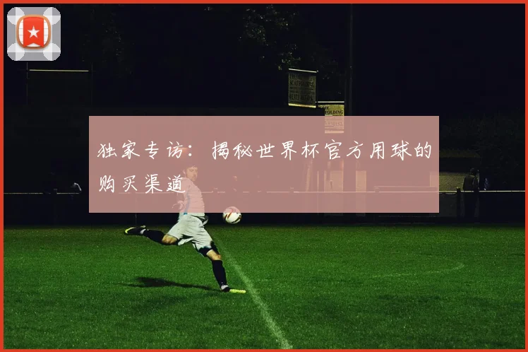 独家专访：揭秘世界杯官方用球的购买渠道
