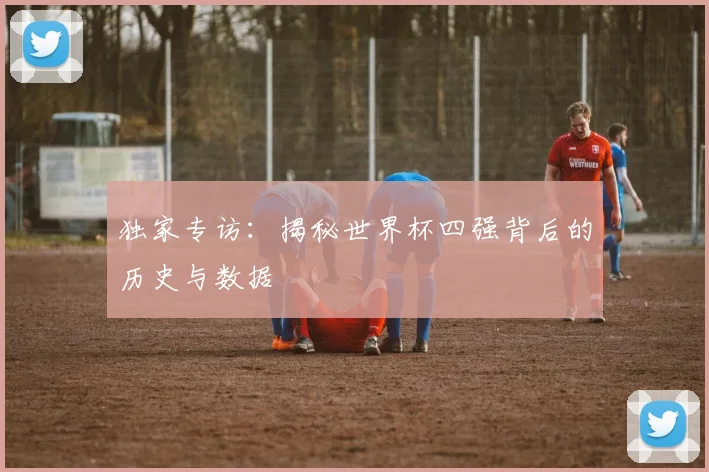 独家专访:揭秘世界杯四强背后的历史与数据