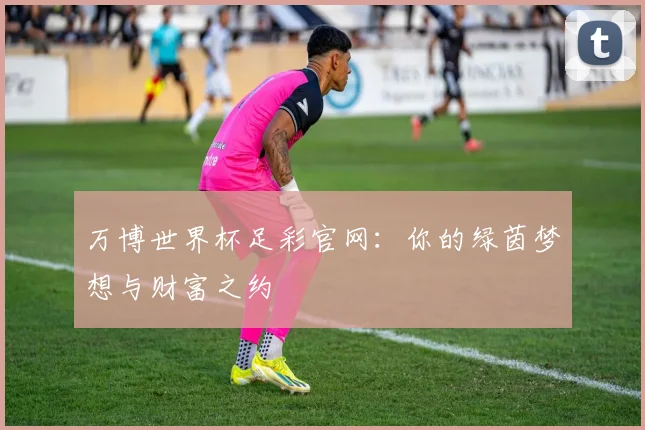 万博世界杯足彩官网：你的绿茵梦想与财富之约