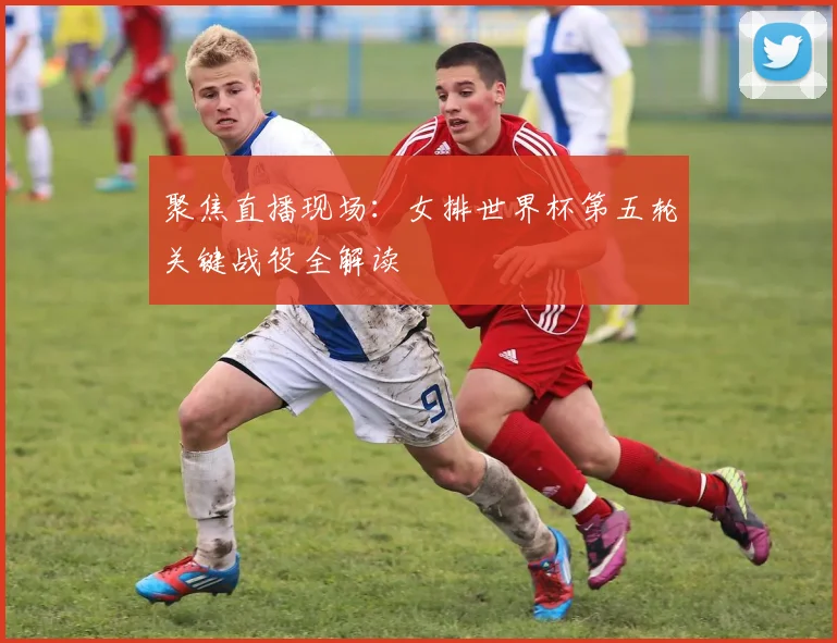 聚焦直播现场：女排世界杯第五轮关键战役全解读